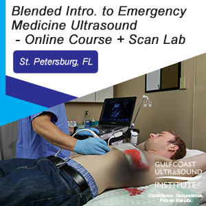 Blended Introduction to Emergency Medicine Ultrasound